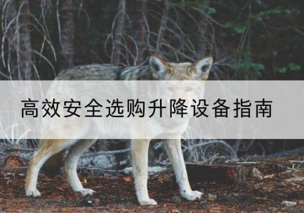 沂水升降货梯厂家推荐-*安全选购升降设备指南