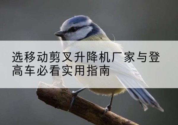 沂水电动升降机厂家-选移动剪叉升降机厂家与登高车必看实用指南